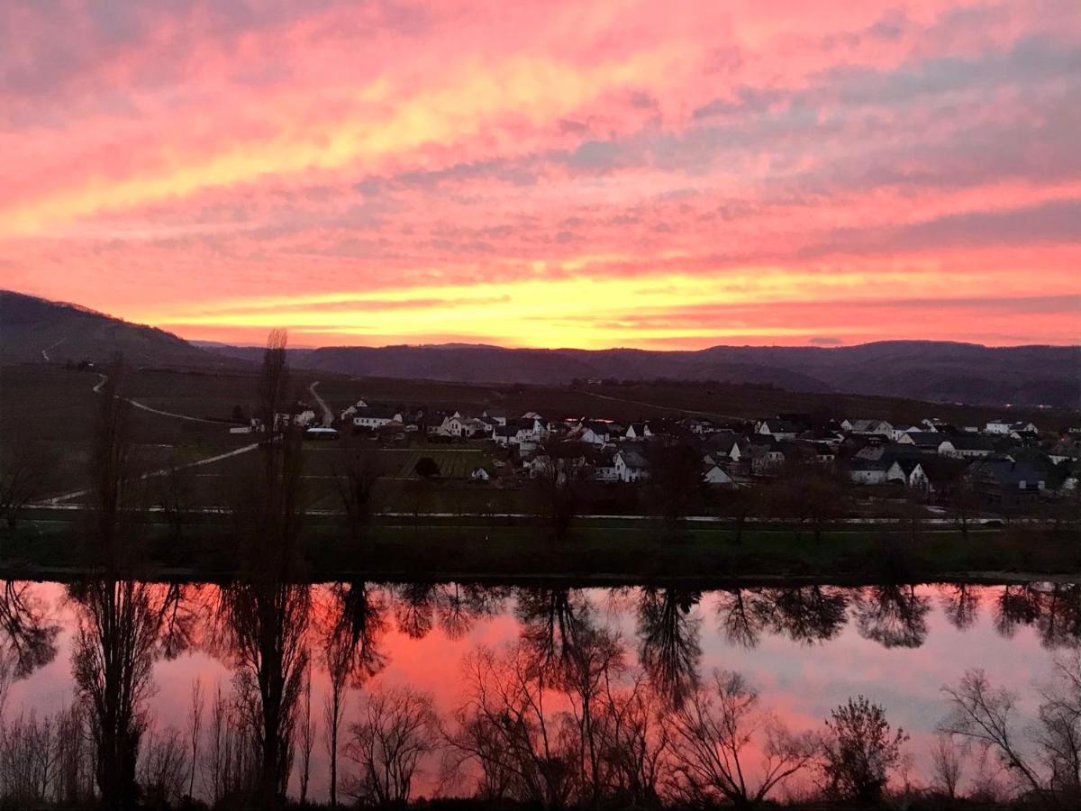 Weinlofts An Der Mosel Mit E10 Ladestation Leilighet Köwerich Eksteriør bilde