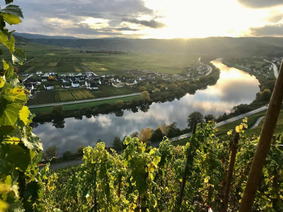 Weinlofts An Der Mosel Mit E10 Ladestation Leilighet Köwerich Eksteriør bilde