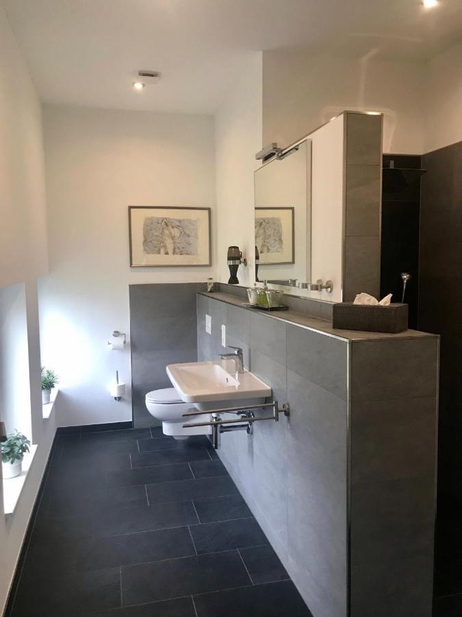 Weinlofts An Der Mosel Mit E10 Ladestation Leilighet Köwerich Eksteriør bilde